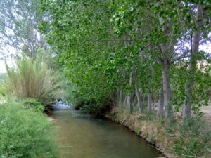 El río Turia a su paso por Torrebaja