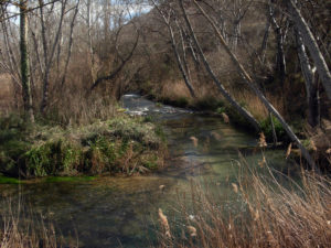 Las ajuntas del río Turia y el Ebrón