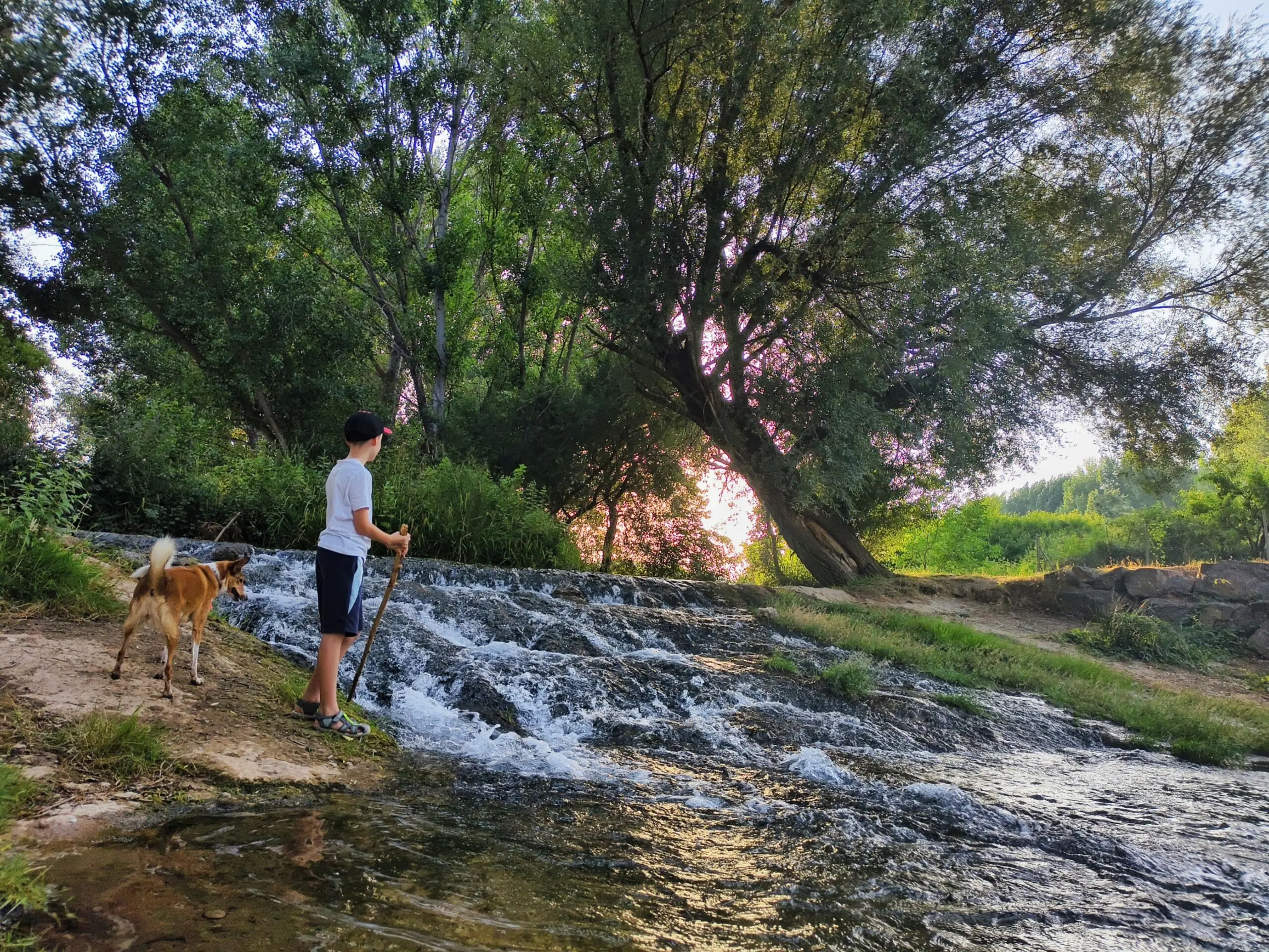 Fotografía 12